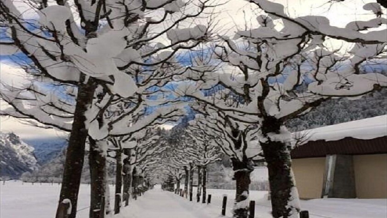 Photo of Others in Engelberg