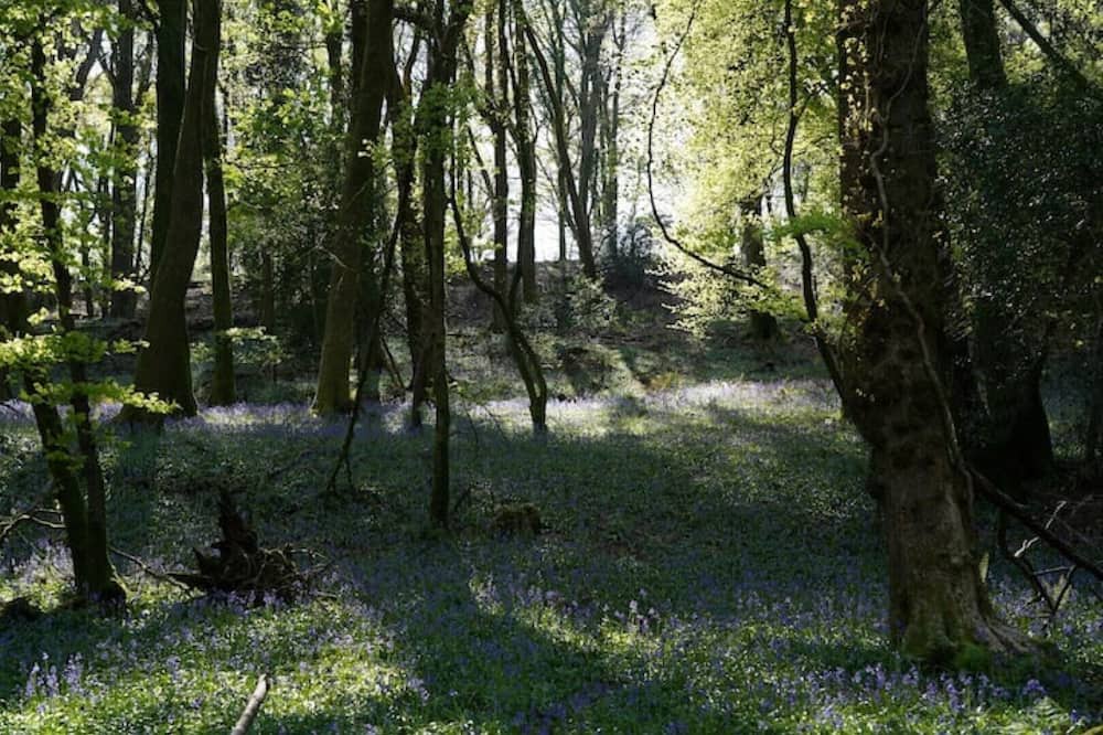 Photo of Outdoor in Tintern