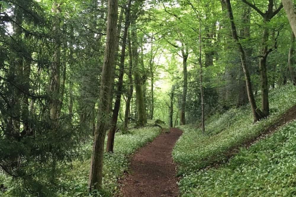 Photo of Outdoor in Tintern