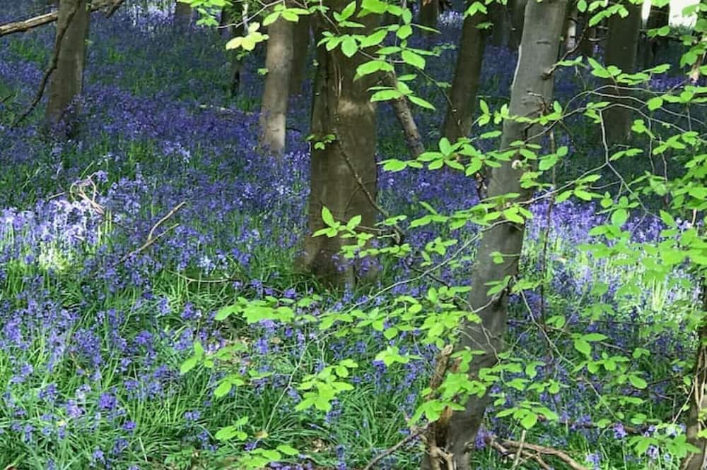 Photo of Outdoor in Tintern