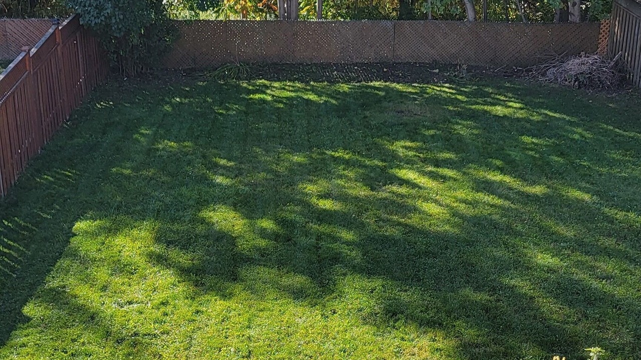 Photo of Outdoor in Alcona