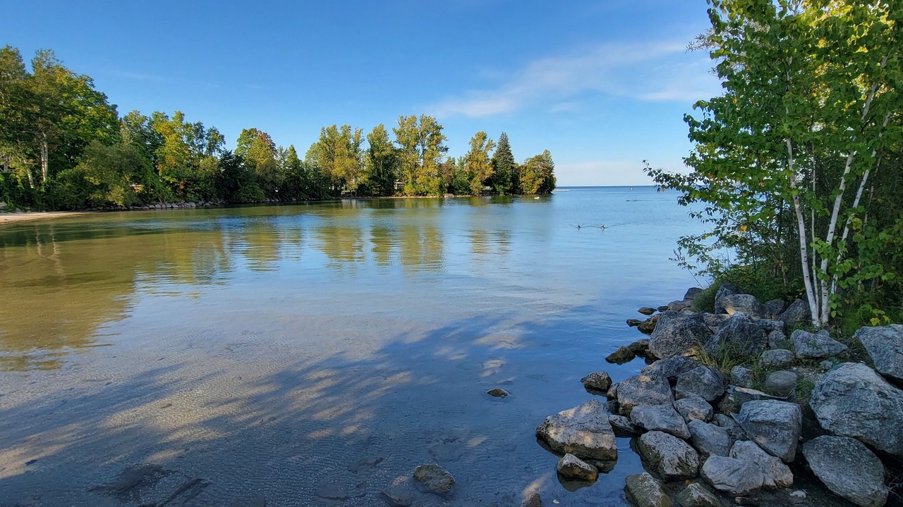 Photo of Others in Alcona