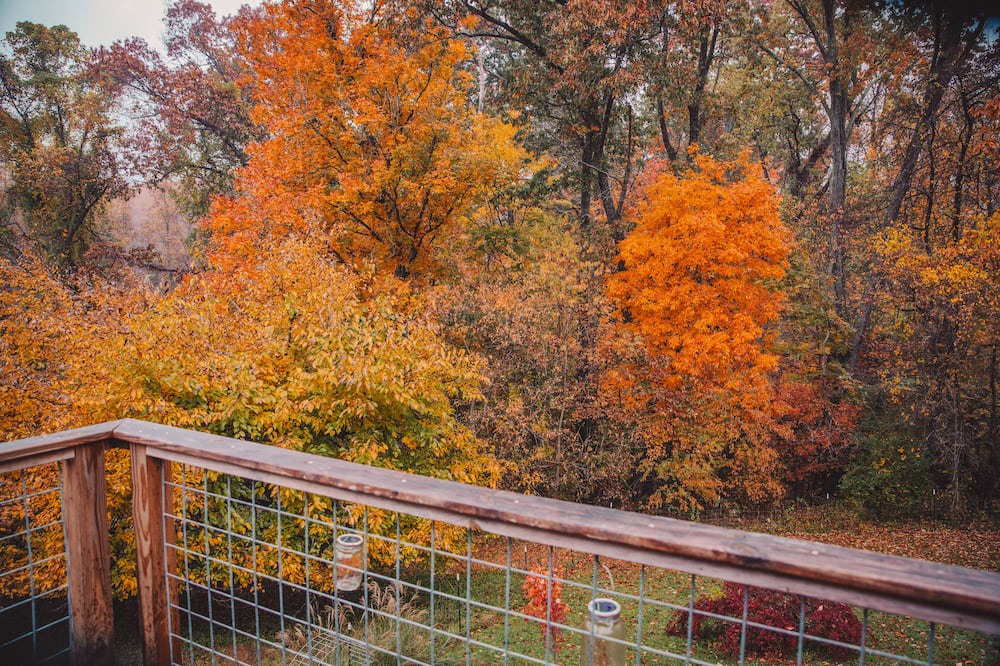 Photo of Outdoor in Martinsville