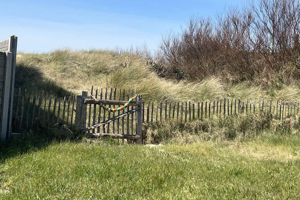 Photo of Others in Lindbergh Plage