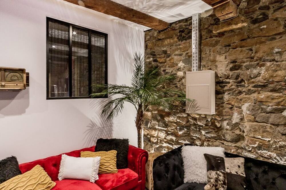 Photo of Livingroom in Old Lyon