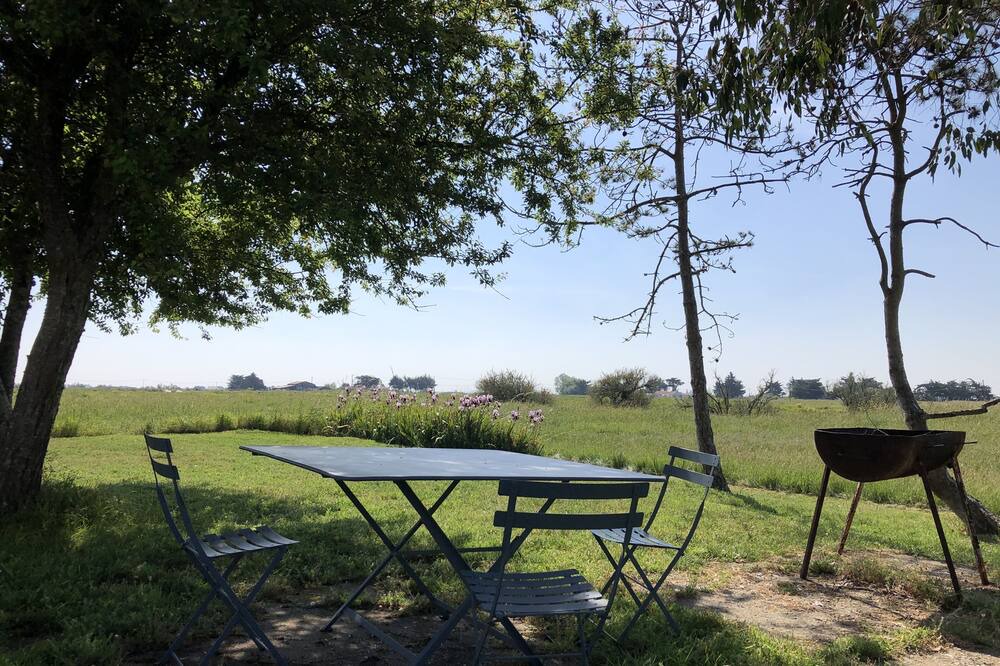 Photo of Outdoor in Bouin