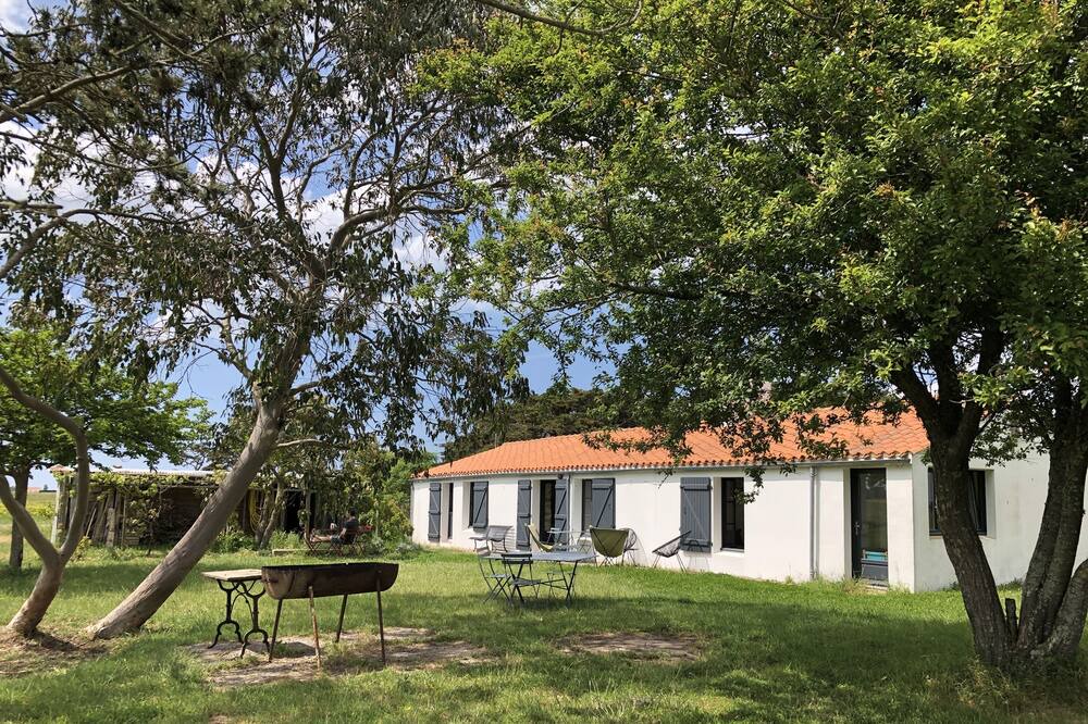 Photo of Outdoor in Bouin