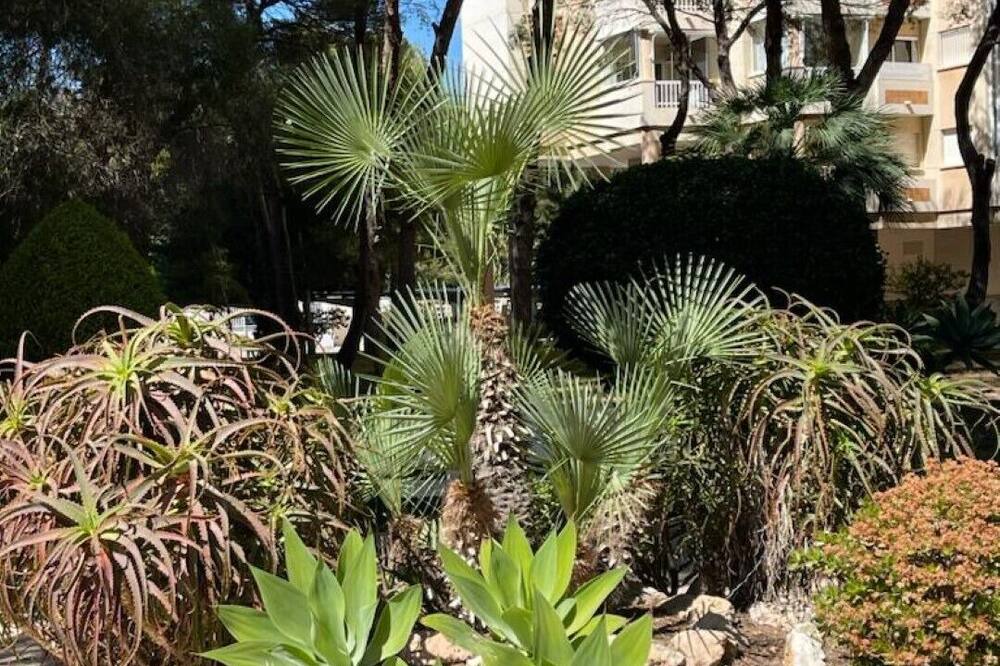 Photo of Outdoor in Dehesa de Campoamor