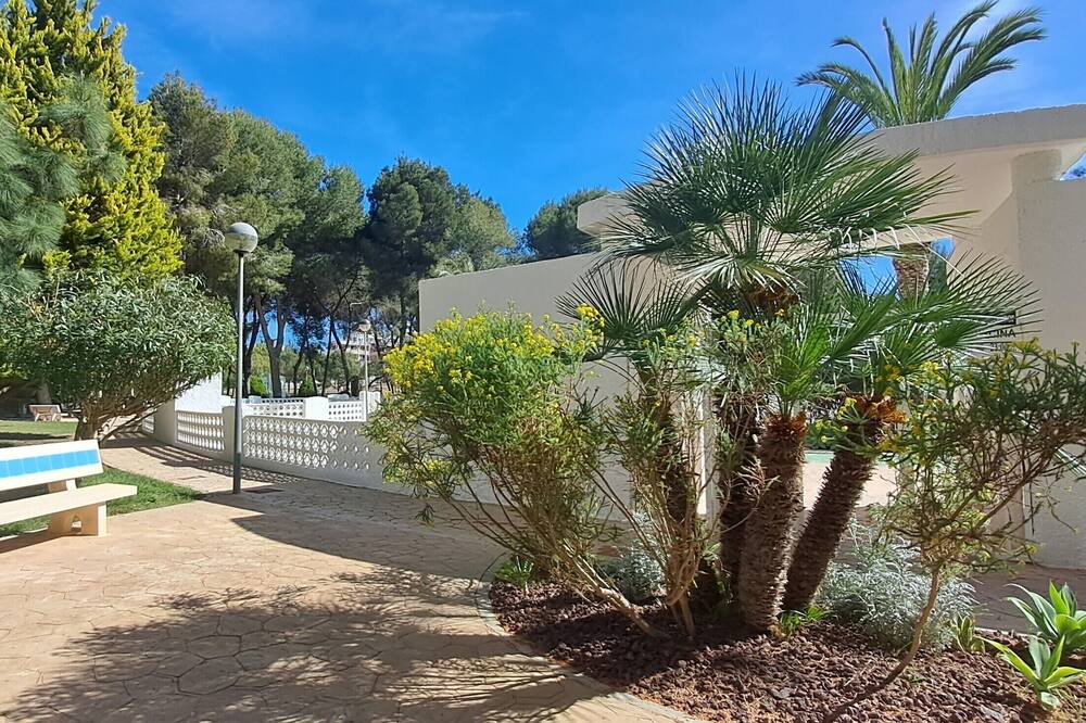Photo of Outdoor in Dehesa de Campoamor