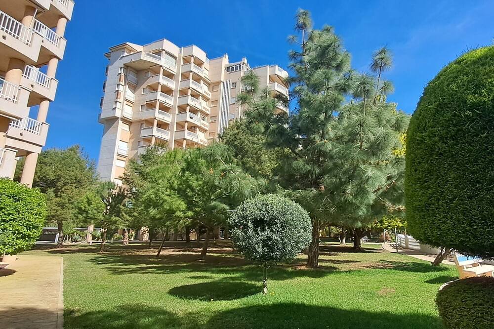Photo of Outdoor in Dehesa de Campoamor