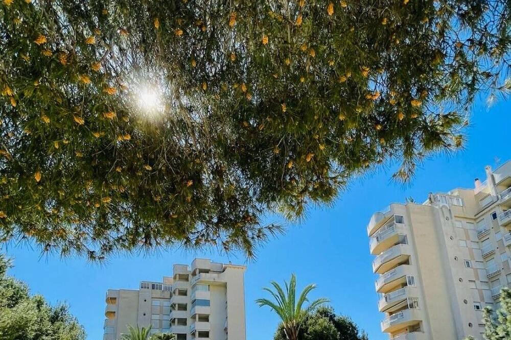 Photo of Outdoor in Dehesa de Campoamor