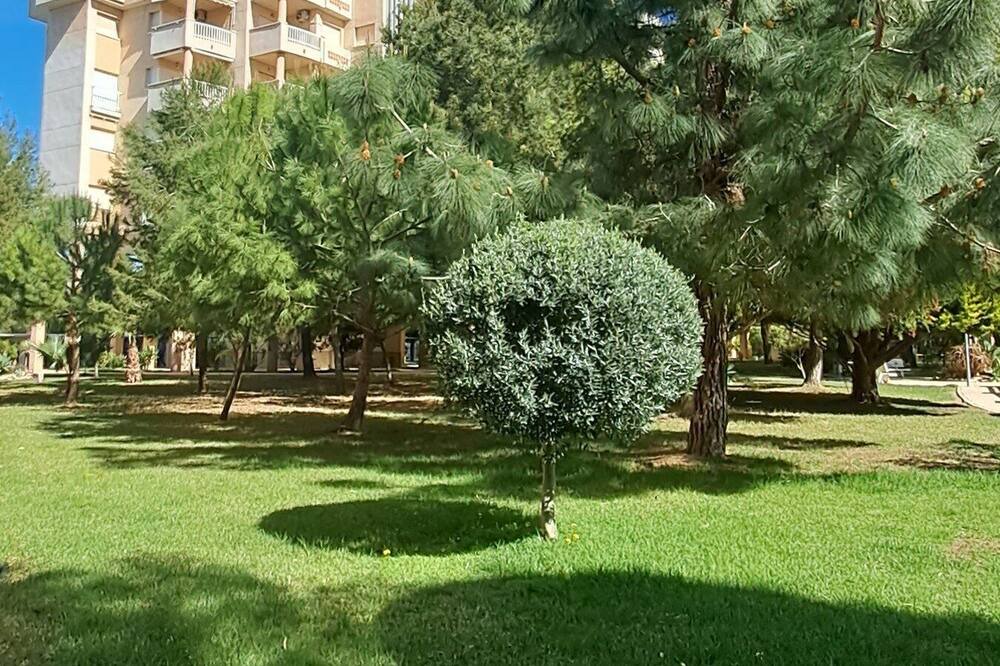 Photo of Outdoor in Dehesa de Campoamor