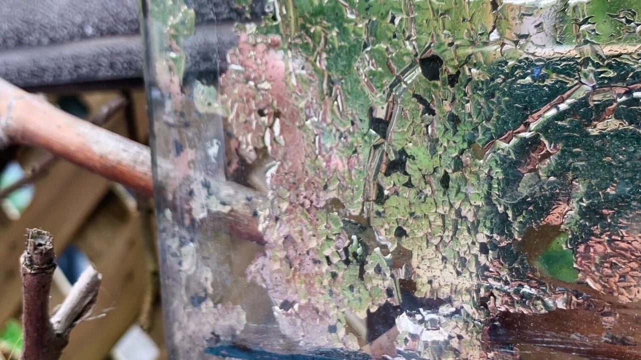 Photo of Others in Chelsea