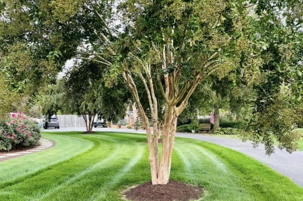 Photo of Outdoor in Bethlehem