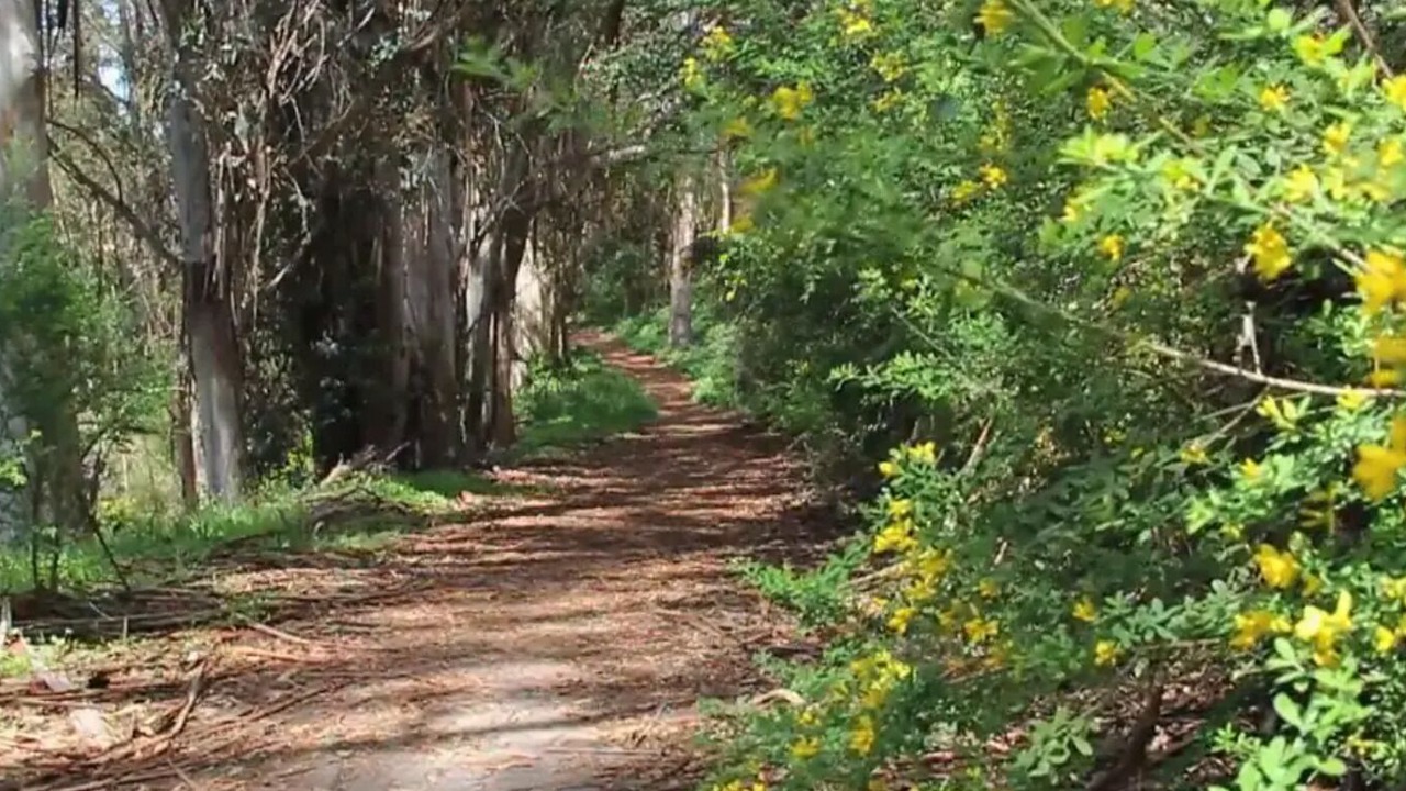 Photo of Outdoor in Live Oak