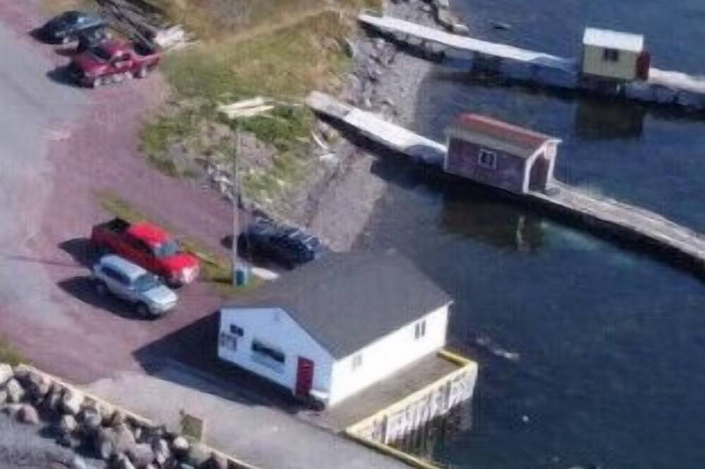 Photo of Others in Broad Cove