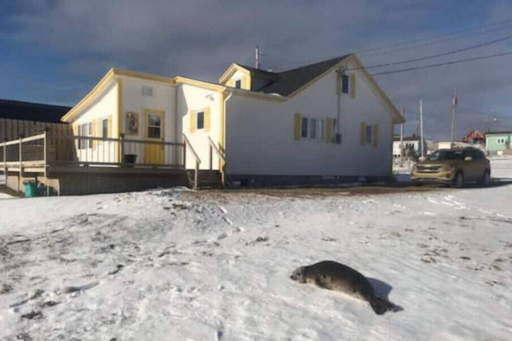 Photo of Outdoor in Broad Cove