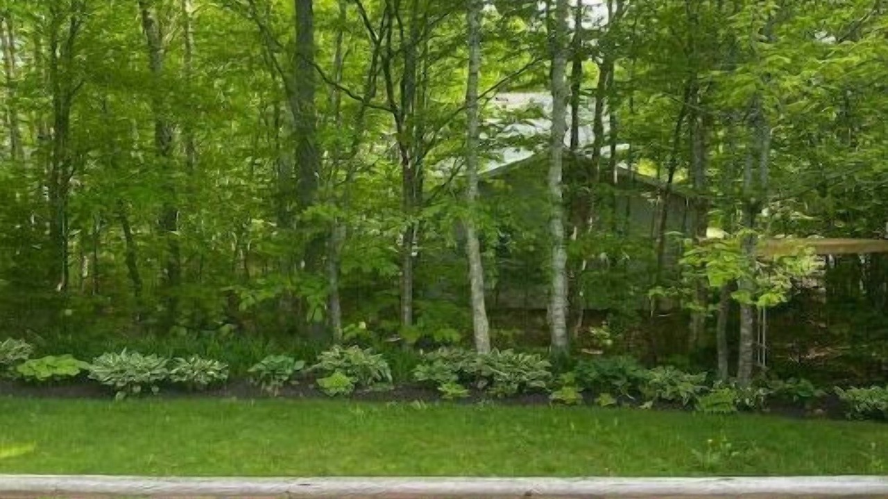 Photo of Outdoor in Cornwall