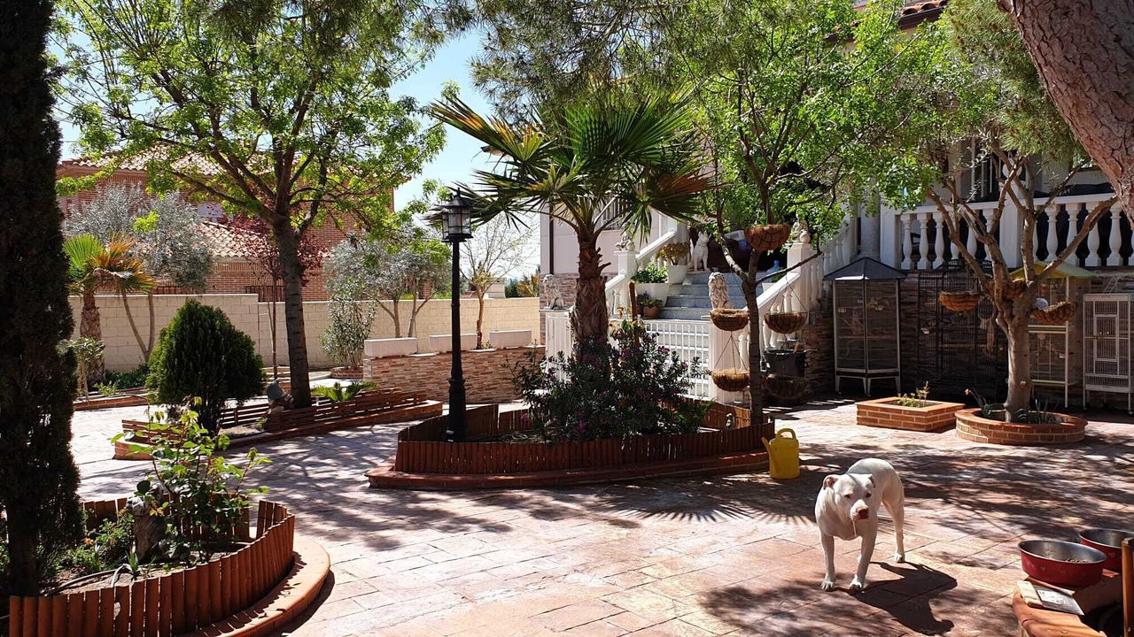 Photo of Outdoor in Numancia de la Sagra