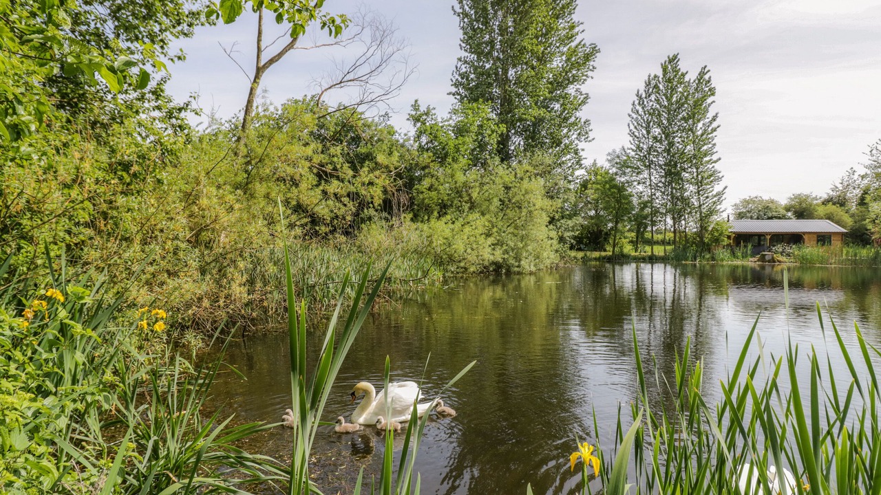 Photo of Others in Frankton