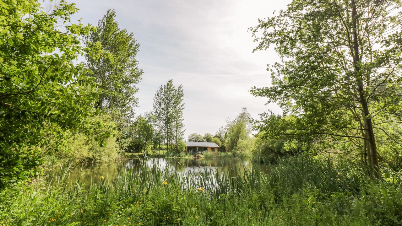 Photo of Others in Frankton