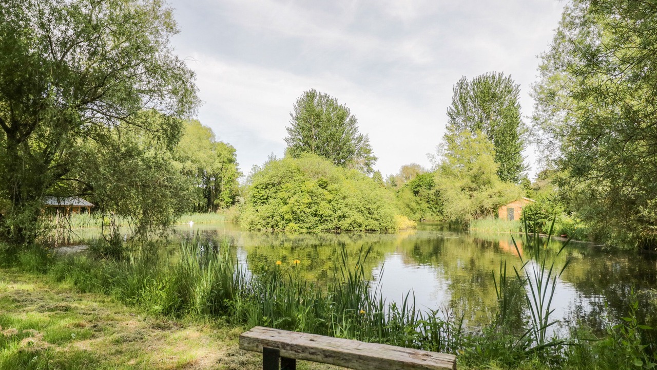 Photo of Others in Frankton