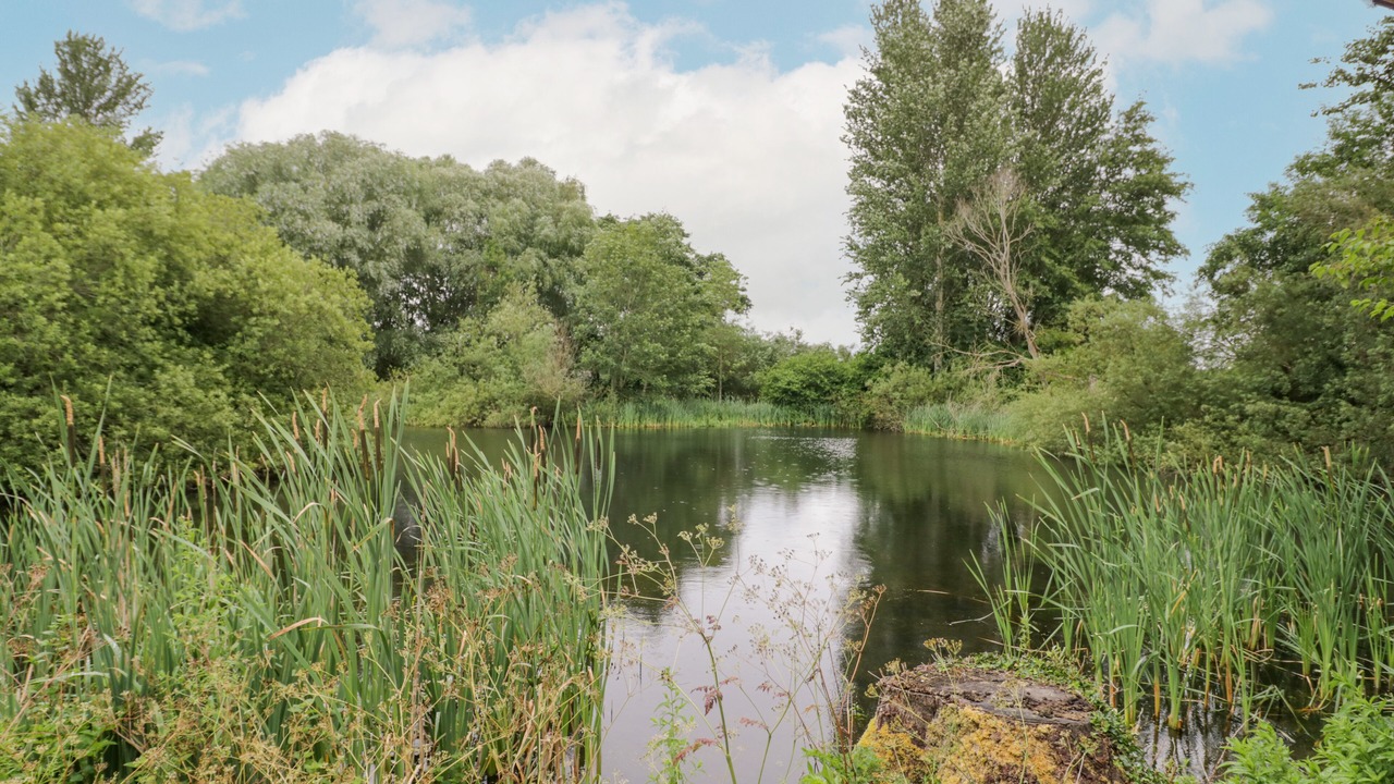 Photo of Others in Frankton