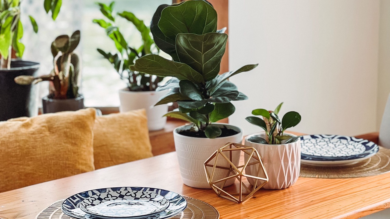 Photo of Others in Cobleskill