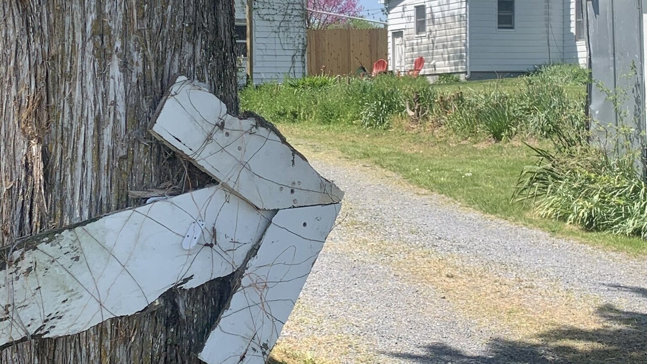 Photo of Outdoor in Broadway