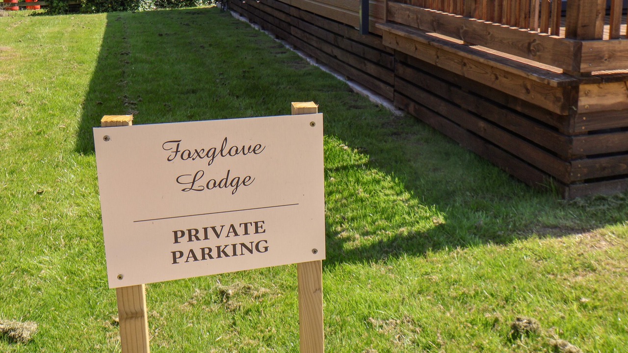 Photo of Others in Runswick Bay