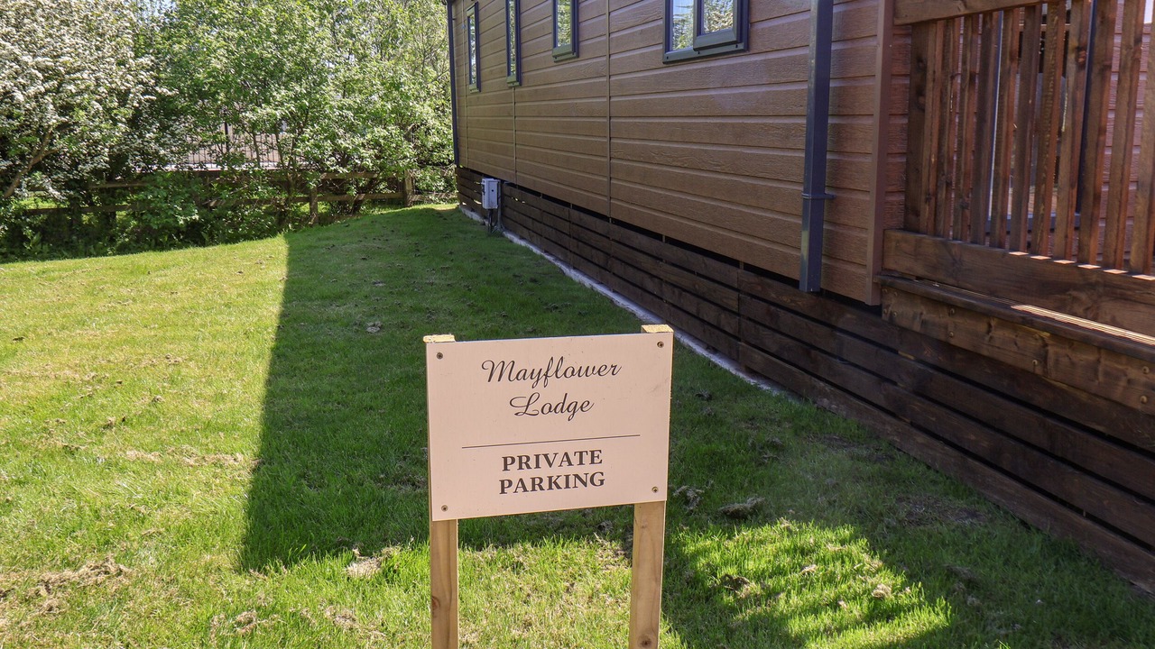 Photo of Others in Runswick Bay