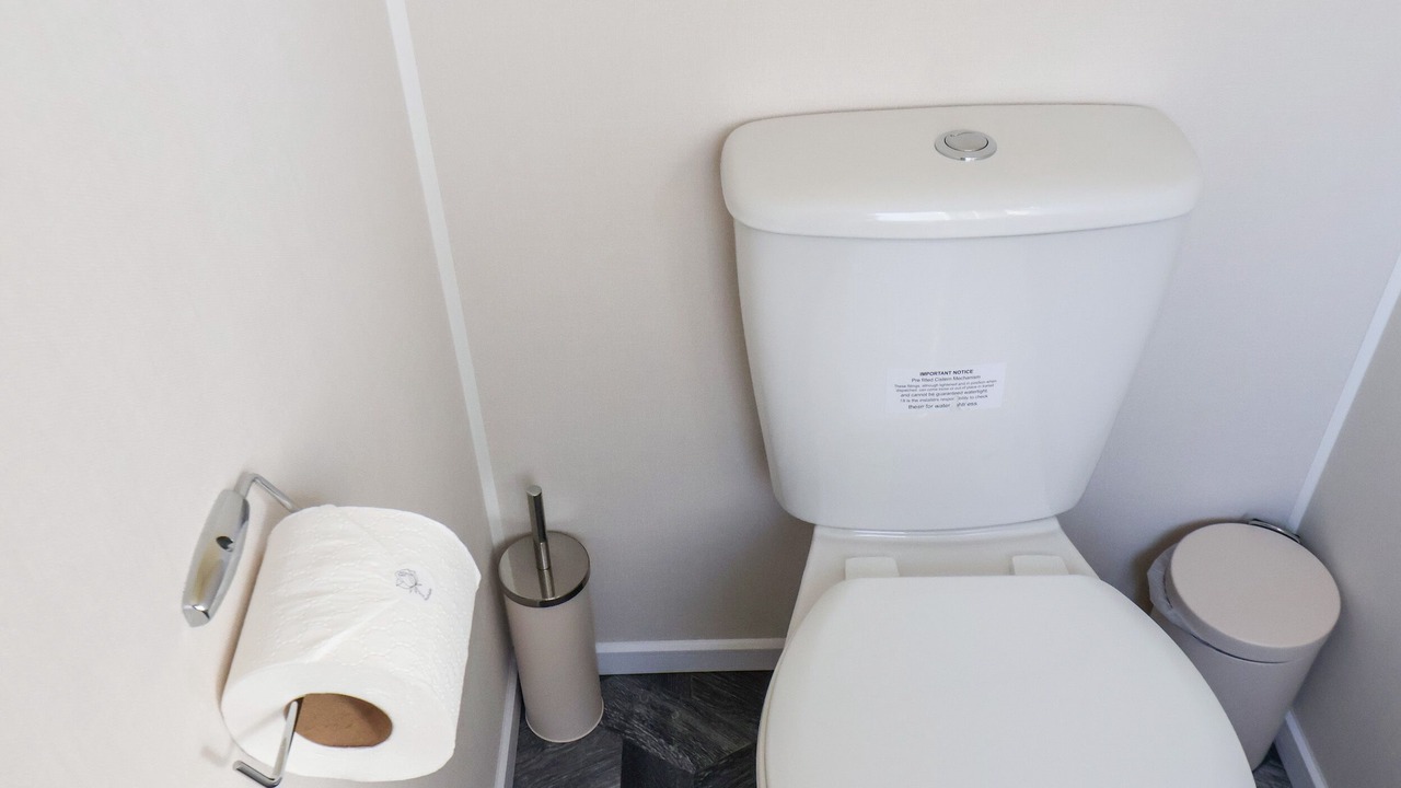 Photo of Others in Runswick Bay