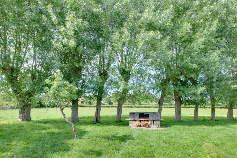 Photo of Outdoor in Bilsington