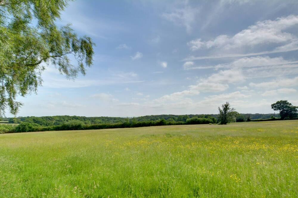 Photo of Others in Bilsington