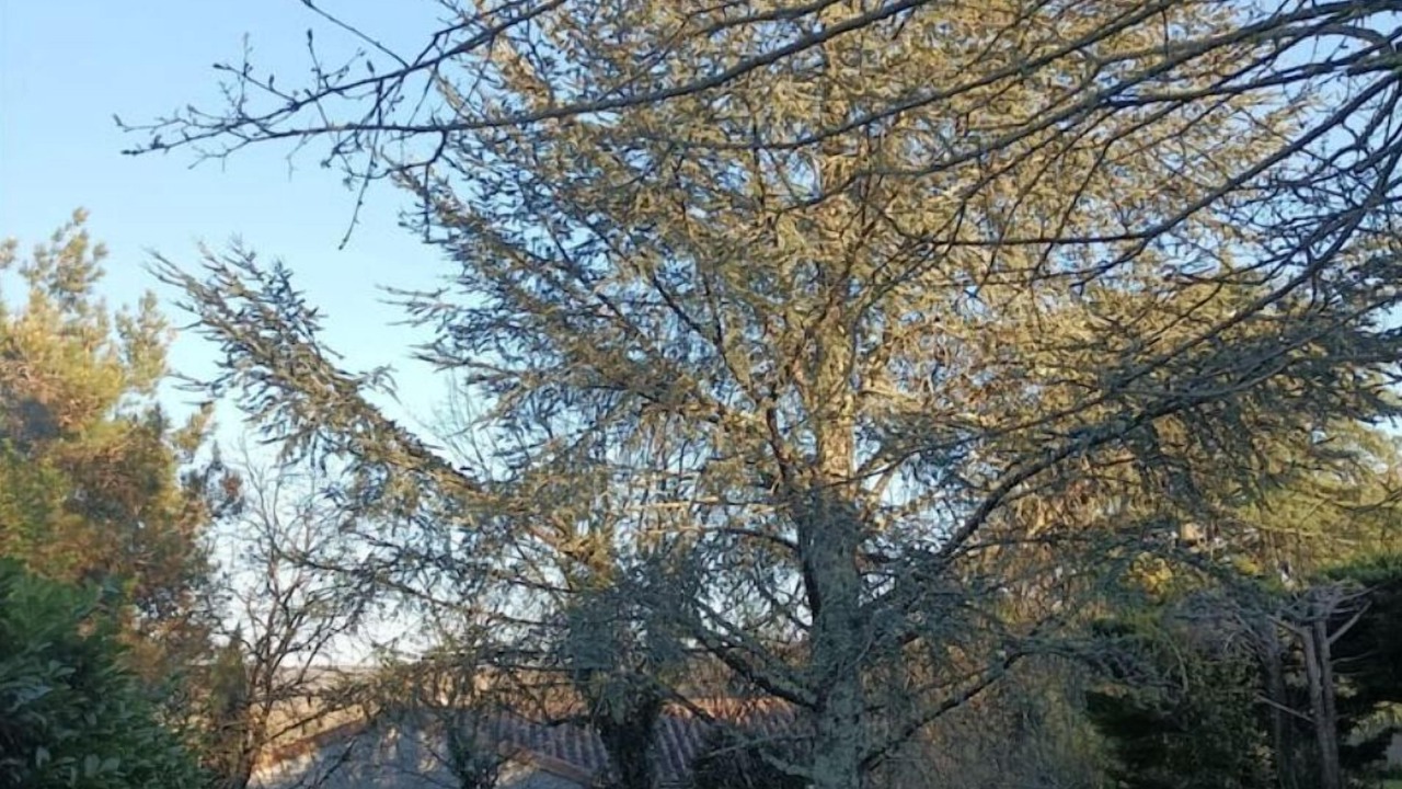 Photo of Outdoor in Balazuc