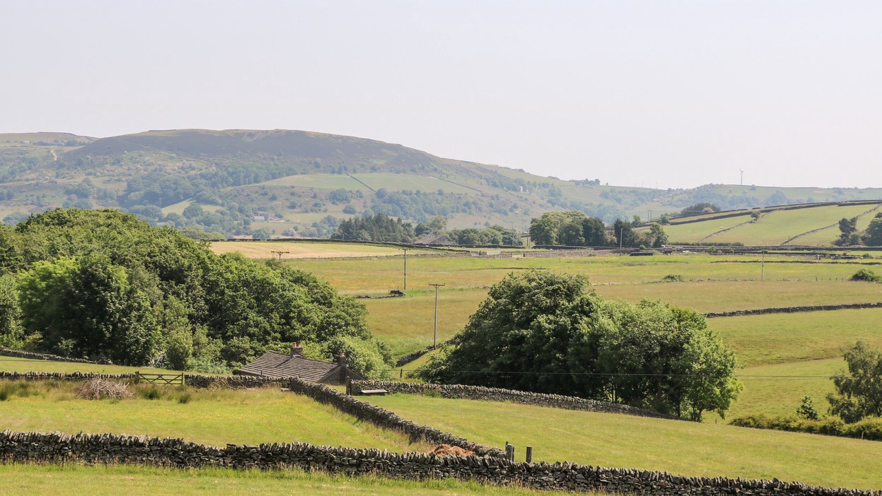 Photo of Others in Cartworth