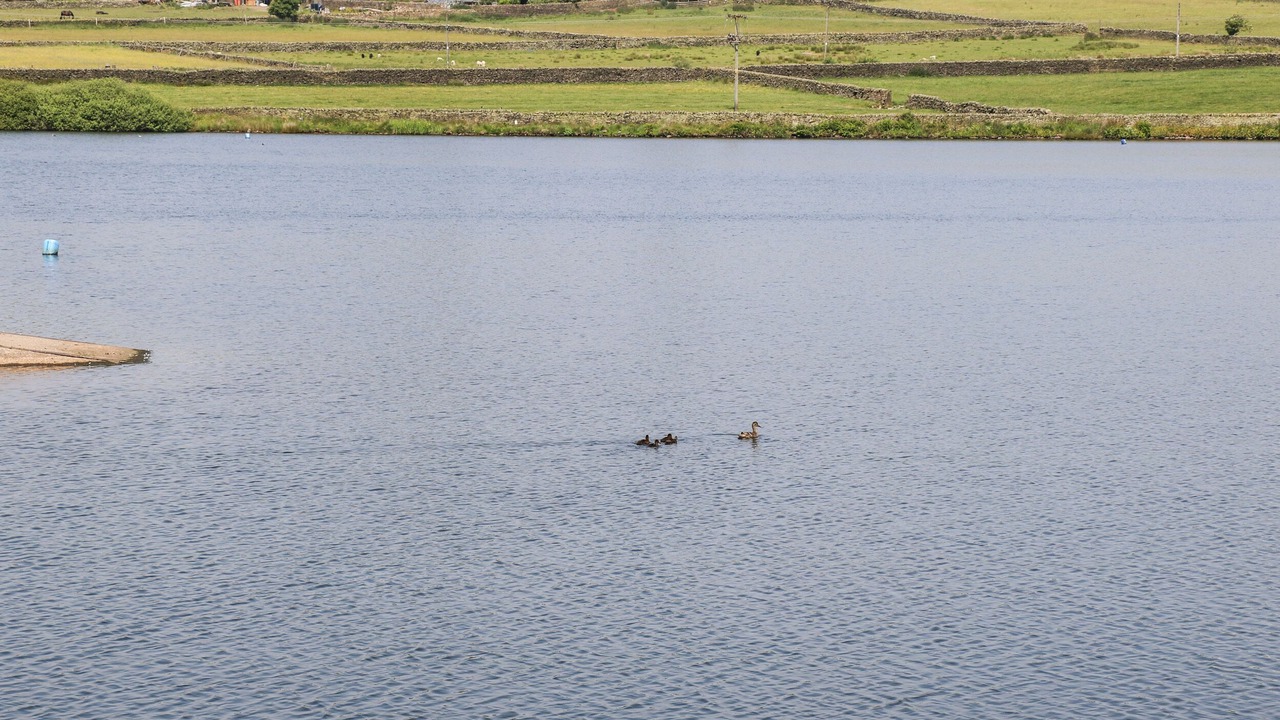 Photo of Others in Cartworth