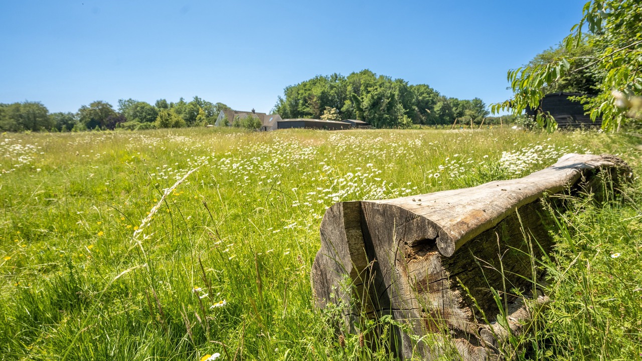 Photo of Outdoor in Hundon