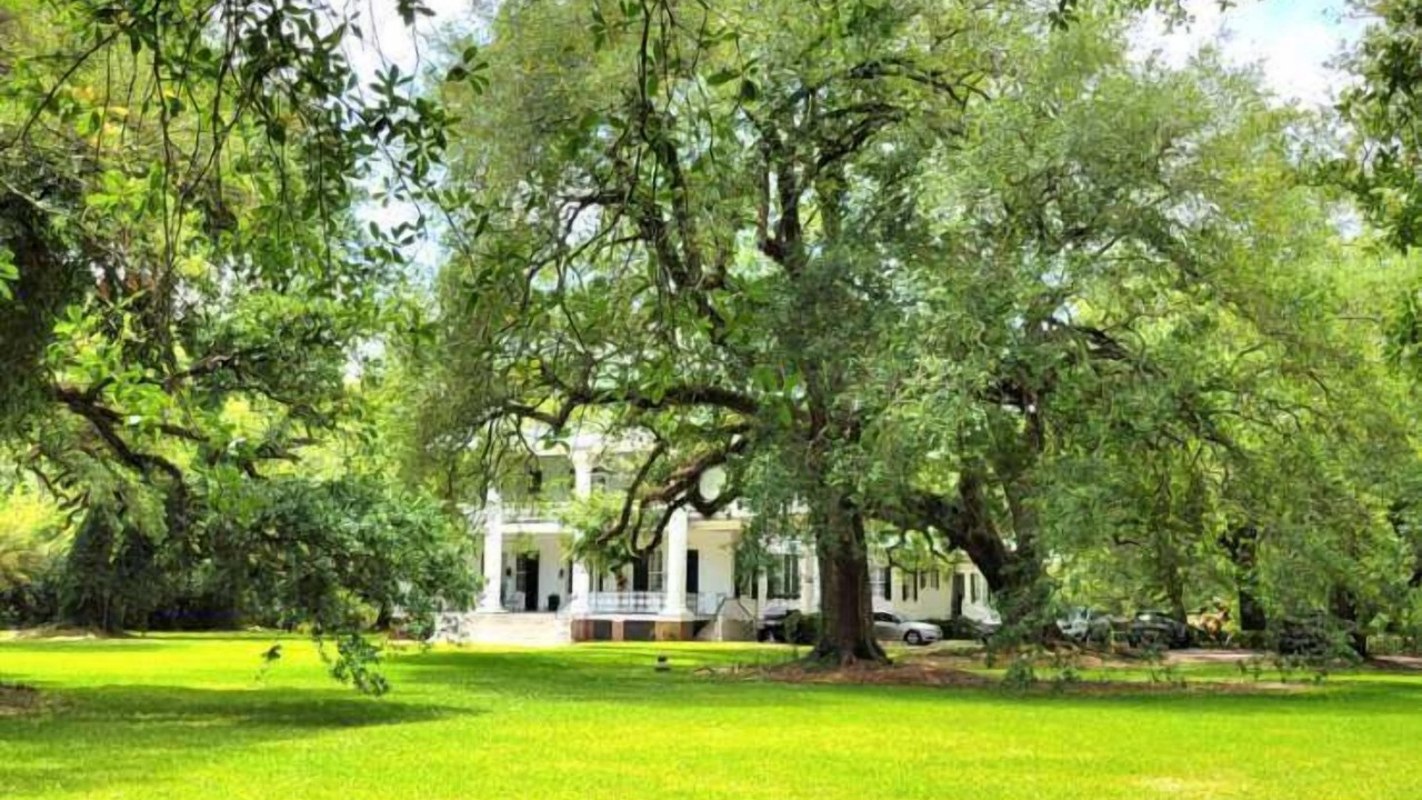 Photo of Outdoor in Franklin