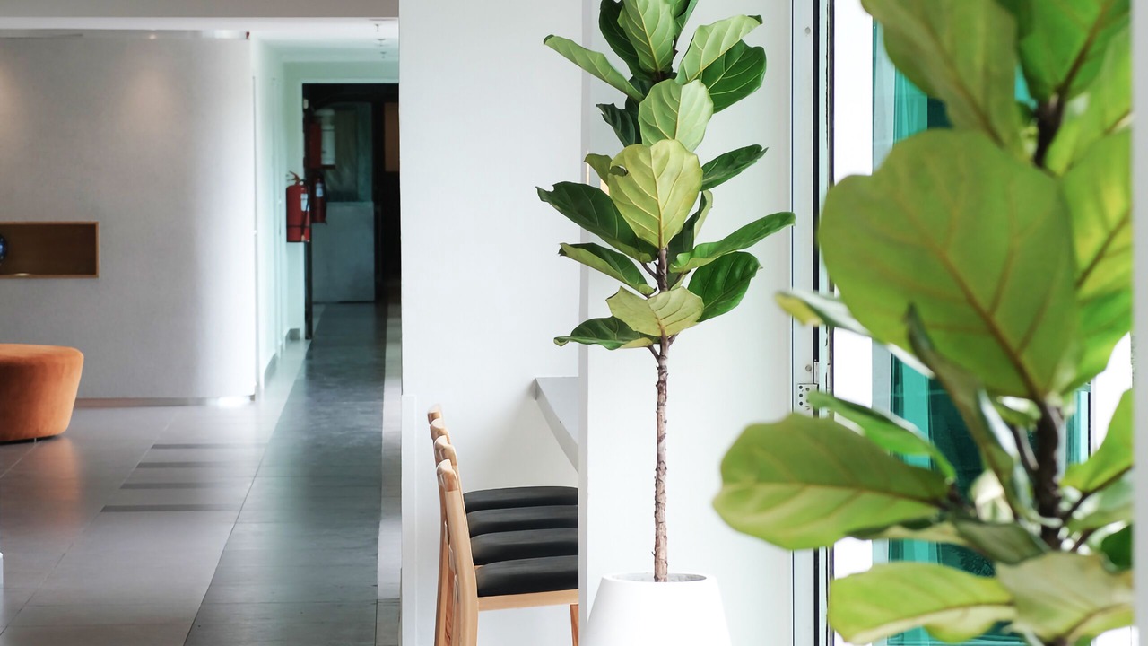 Photo of Others in Pantai Tengah