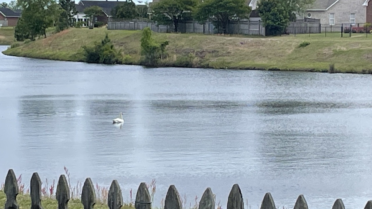 Photo of Outdoor in Murraysville