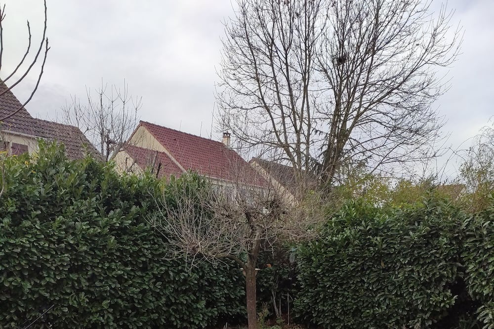 Photo of Outdoor in Carrieres-sous-Poissy