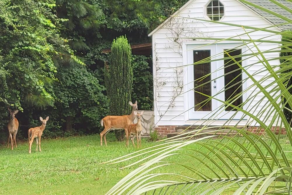 Photo of Outdoor in Griffin