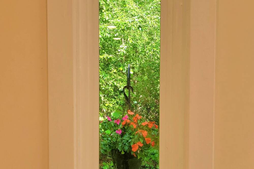 Photo of Others in Griffin