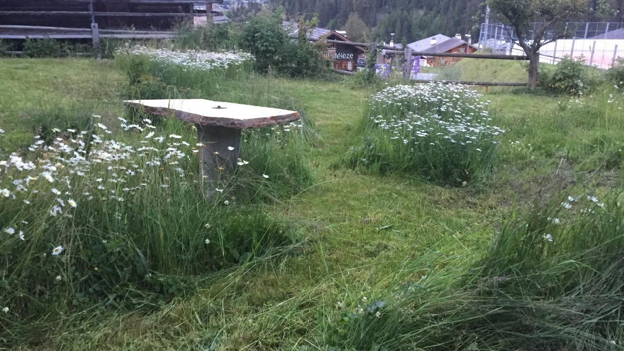 Photo of Outdoor in Grimentz