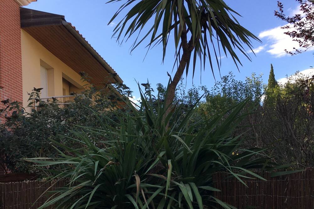Photo of Outdoor in Saint-Martin