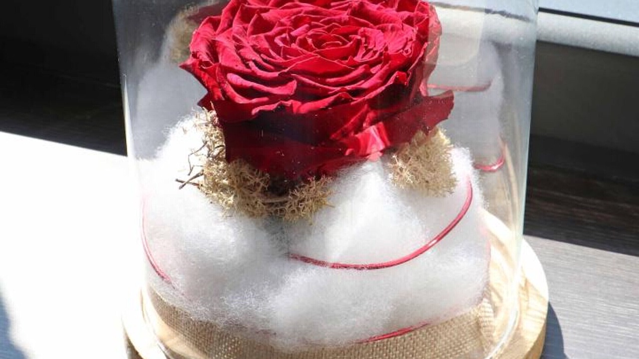 Photo of Others in Occagnes