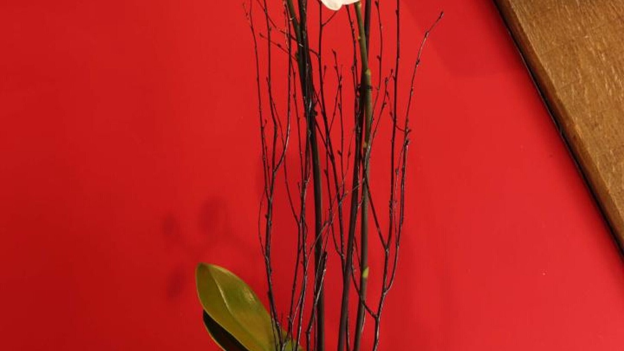 Photo of Others in Occagnes