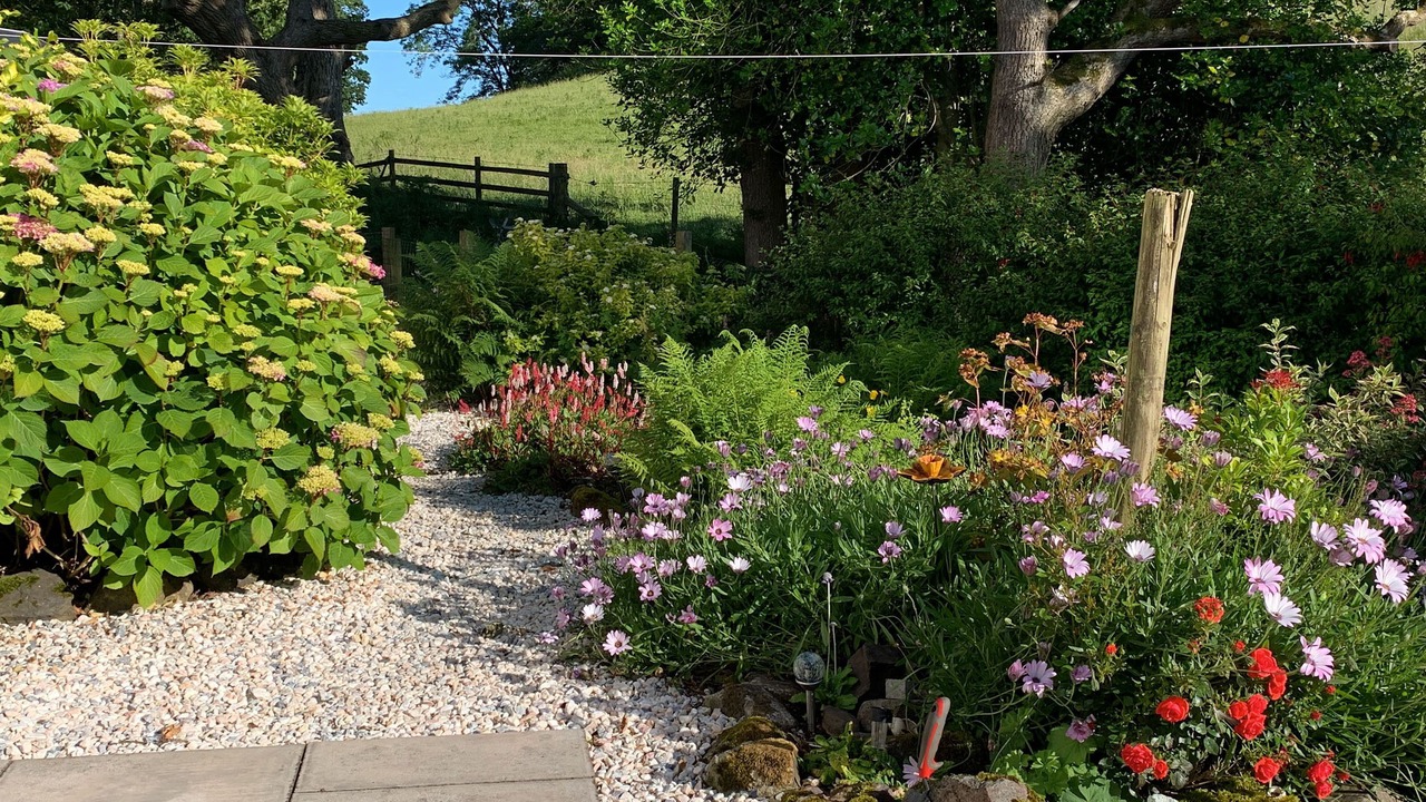 Photo of Outdoor in Rockcliffe