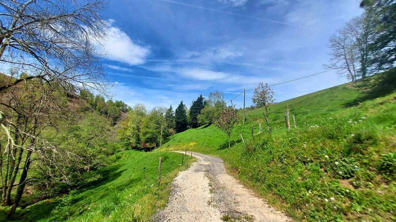 Photo of Outdoor in Labassere